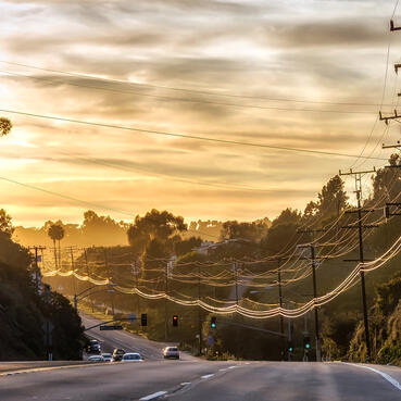 Power Lines with Vegetation