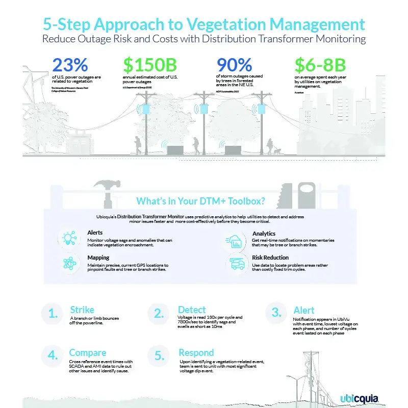 Infographic